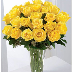 R822 Classy In Yellow 2 Dozen from Fabbrini's Flowers in Hoffman Estates, IL