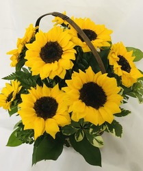 AD102 Brighter Days with You Basket from Fabbrini's Flowers in Hoffman Estates, IL
