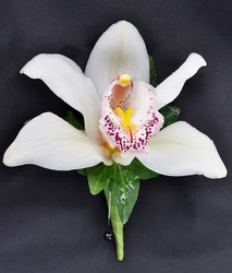 BT107 White Cymbidium Orchid Bout from Fabbrini's Flowers in Hoffman Estates, IL