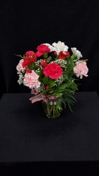 Dozen carnations vased V120 from Fabbrini's Flowers in Hoffman Estates, IL