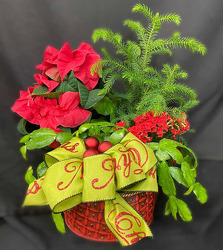 CH104 Holiday Garden from Fabbrini's Flowers in Hoffman Estates, IL