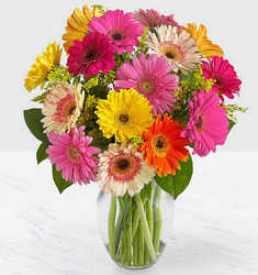 ES102 mixed gerbera daisies in vase from Fabbrini's Flowers in Hoffman Estates, IL