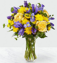 ES106 Vase of purple iris yellow roses and pomps from Fabbrini's Flowers in Hoffman Estates, IL