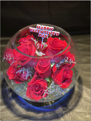Dozen roses in oversized bubble bowl V127 from Fabbrini's Flowers in Hoffman Estates, IL