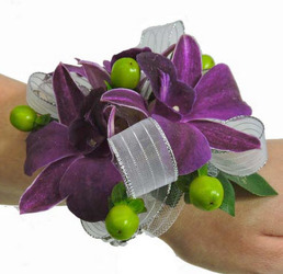 WC103 Plum Dendrobium Orchid Wrist Corsage from Fabbrini's Flowers in Hoffman Estates, IL