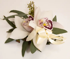 WC107 White Cymbidium Orchid Wrist Corsage from Fabbrini's Flowers in Hoffman Estates, IL