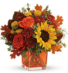 WS107 Fall Special from Fabbrini's Flowers in Hoffman Estates, IL