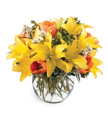 C1 All Is Bright Bouquet from Fabbrini's Flowers in Hoffman Estates, IL