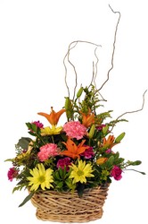 ES111 spring basket from Fabbrini's Flowers in Hoffman Estates, IL