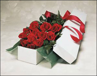 Dozen roses boxed V121 from Fabbrini's Flowers in Hoffman Estates, IL