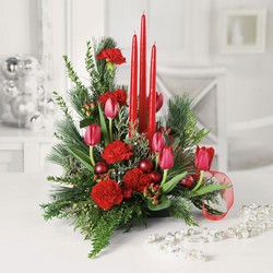 Christmas buffet centerpiece C108 from Fabbrini's Flowers in Hoffman Estates, IL