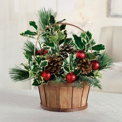Holiday basket C106 from Fabbrini's Flowers in Hoffman Estates, IL