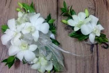 WC108 White Dendrobium Orchid Wrist Corsage and Boutonniere from Fabbrini's Flowers in Hoffman Estates, IL