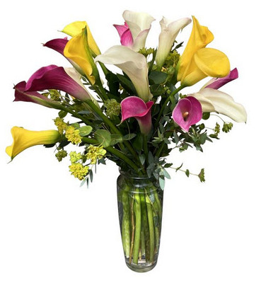 ST15 Stever Calla lilys from Fabbrini's Flowers in Hoffman Estates, IL