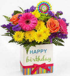 B201 Happy Birthday from Fabbrini's Flowers in Hoffman Estates, IL