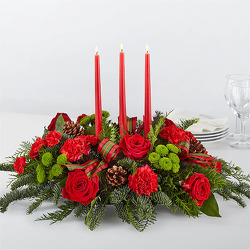 CH1071 Christmas Eucalyptus Centerpiece from Fabbrini's Flowers in Hoffman Estates, IL