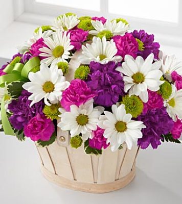 E120 Spring in a Basket from Fabbrini's Flowers in Hoffman Estates, IL