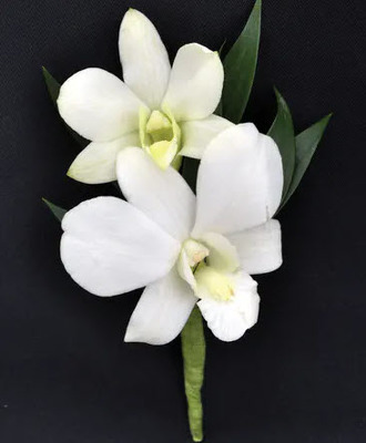 BT108 White Dendrobium Orchid Bout from Fabbrini's Flowers in Hoffman Estates, IL