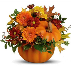 Ceramic Pumpkin Centerpiece TH001 from Fabbrini's Flowers in Hoffman Estates, IL