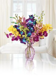 MOM'S COLORS from Fabbrini's Flowers in Hoffman Estates, IL