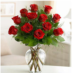 R801 Classy In Red roses from Fabbrini's Flowers in Hoffman Estates, IL