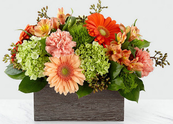 ES108 wooded rectangle arrangement from Fabbrini's Flowers in Hoffman Estates, IL