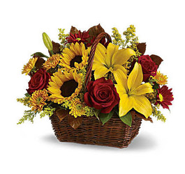 F101 fall dark basket from Fabbrini's Flowers in Hoffman Estates, IL