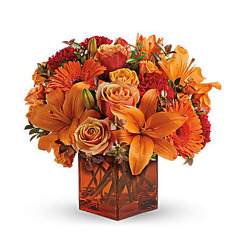 F105 Fall Cube from Fabbrini's Flowers in Hoffman Estates, IL