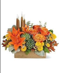 F114 Box of Fall + Succulents from Fabbrini's Flowers in Hoffman Estates, IL