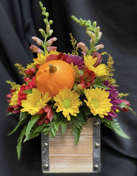 F124 Fall Cube from Fabbrini's Flowers in Hoffman Estates, IL