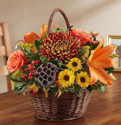 F126 Basket of Fall from Fabbrini's Flowers in Hoffman Estates, IL