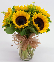 F127 Sunflowers in vase from Fabbrini's Flowers in Hoffman Estates, IL