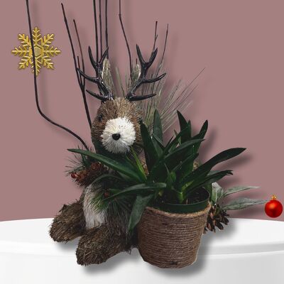 Reindeer games from Fabbrini's Flowers in Hoffman Estates, IL