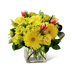 M104 Yellow Square Vase from Fabbrini's Flowers in Hoffman Estates, IL