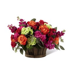 M106 Brightly Colored Basket from Fabbrini's Flowers in Hoffman Estates, IL