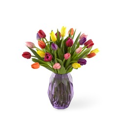 M114 25 Tulips with a Keepsake Vase from Fabbrini's Flowers in Hoffman Estates, IL