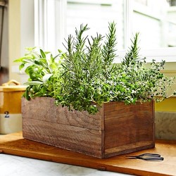 M126 Herb Garden from Fabbrini's Flowers in Hoffman Estates, IL