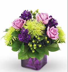 M130 Purple square from Fabbrini's Flowers in Hoffman Estates, IL
