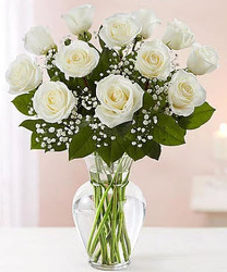 R811 Classy in White from Fabbrini's Flowers in Hoffman Estates, IL