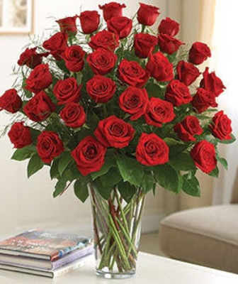 R832 Classy In Red 3 Dozen from Fabbrini's Flowers in Hoffman Estates, IL