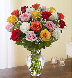 R900 DZ MULTI COLORED ROSES from Fabbrini's Flowers in Hoffman Estates, IL
