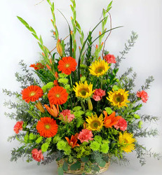 S220 Fall Fanback - Basket from Fabbrini's Flowers in Hoffman Estates, IL