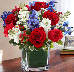 S251 Greater glory cube vase arrangement from Fabbrini's Flowers in Hoffman Estates, IL