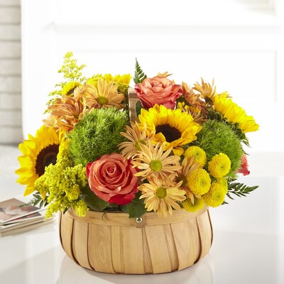 S256 Field of warm thoughts from Fabbrini's Flowers in Hoffman Estates, IL