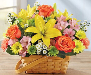 S257 Ray of sunlight basket arrangement from Fabbrini's Flowers in Hoffman Estates, IL