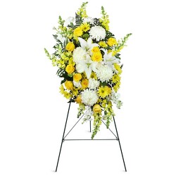 S25C SUNNY EASEL from Fabbrini's Flowers in Hoffman Estates, IL