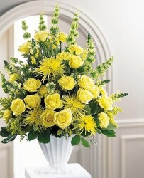 S27D ALL YELLOW FANBACK from Fabbrini's Flowers in Hoffman Estates, IL