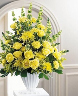 S27D ALL YELLOW FANBACK from Fabbrini's Flowers in Hoffman Estates, IL