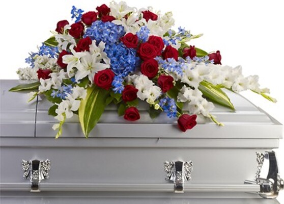 PATRIOT CASKET from Fabbrini's Flowers in Hoffman Estates, IL