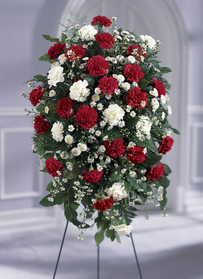 S147 Traditional Red & White from Fabbrini's Flowers in Hoffman Estates, IL